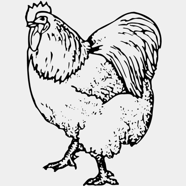 CHICK003 Thumbnail