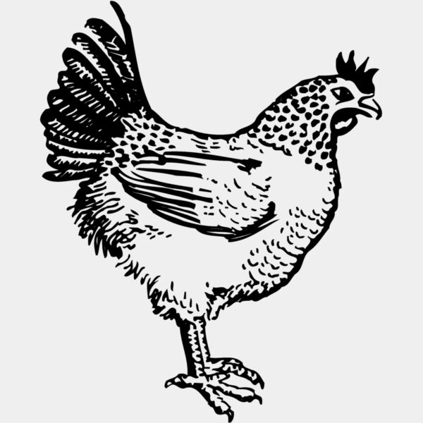 CHICK009 Thumbnail