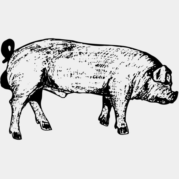 HOG0004 Thumbnail