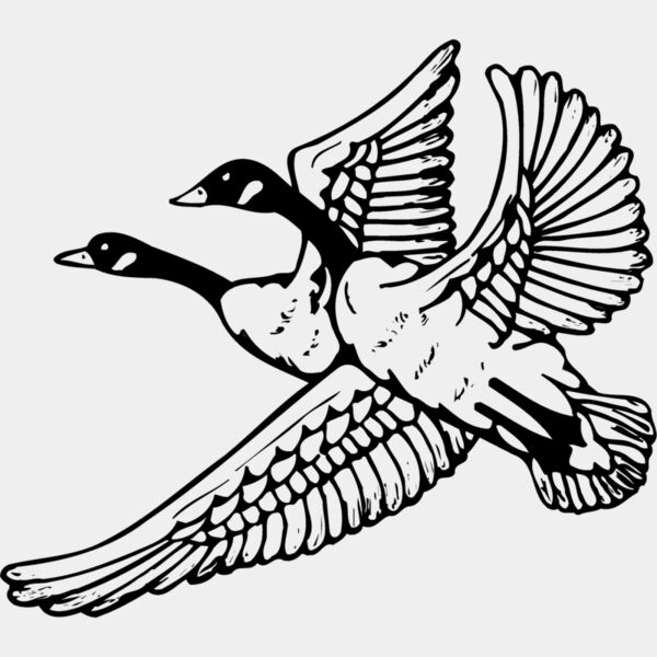 BIRD077 Thumbnail