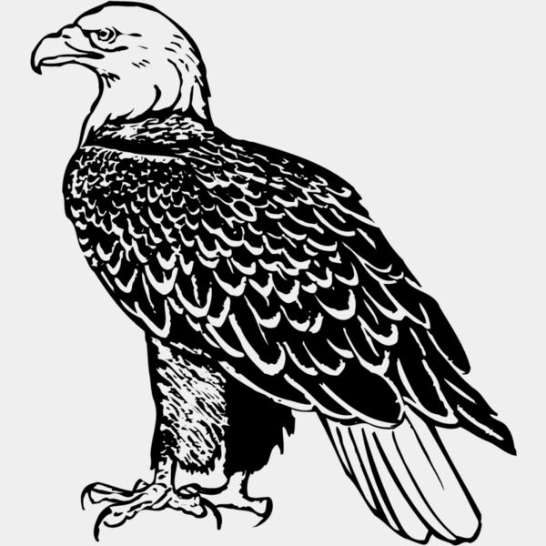 EAGLE017 Thumbnail