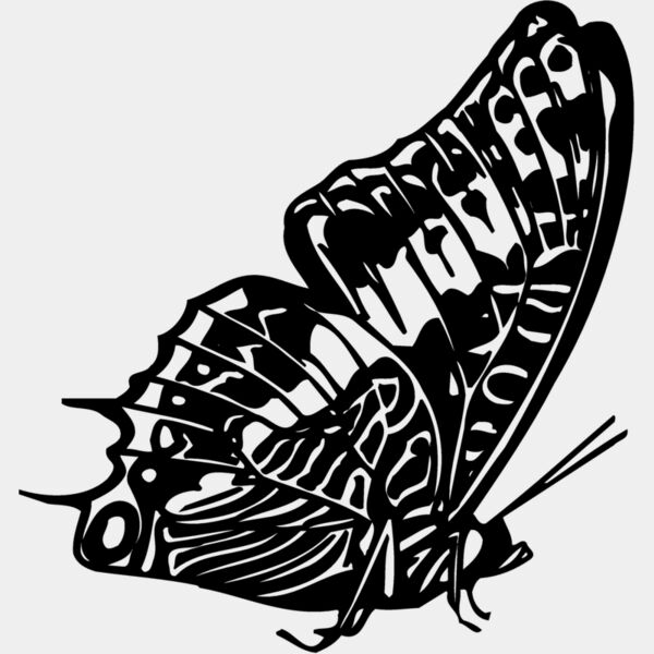 BTRFLY02 Thumbnail