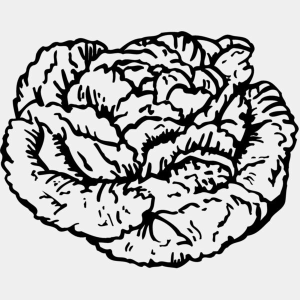 VEG016 Thumbnail