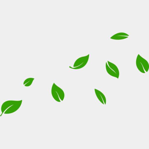 13 Leaves Thumbnail